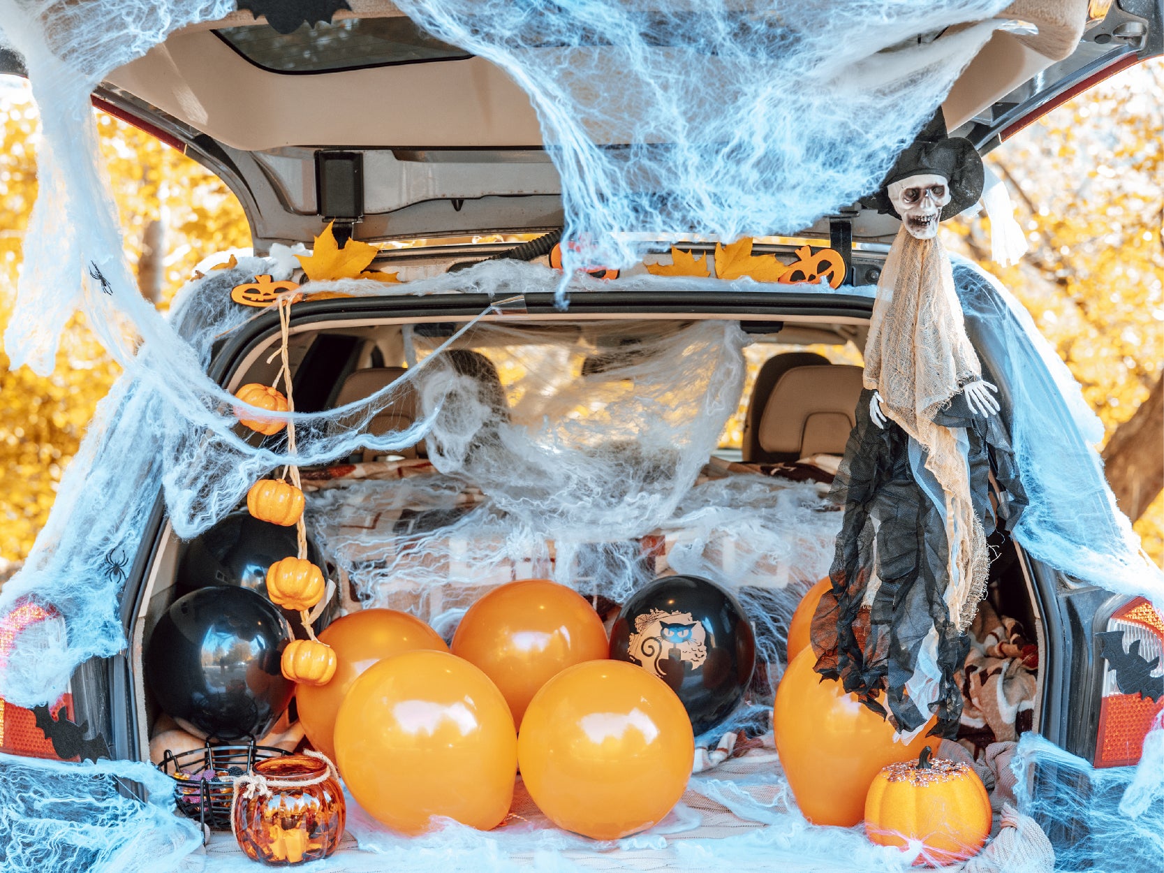 UMDP's Trunk or Treat