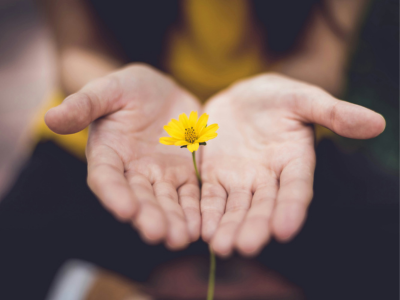 Wellness Series: Mastering Mindfulness