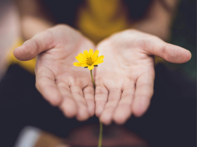 Mindfulness in Practice